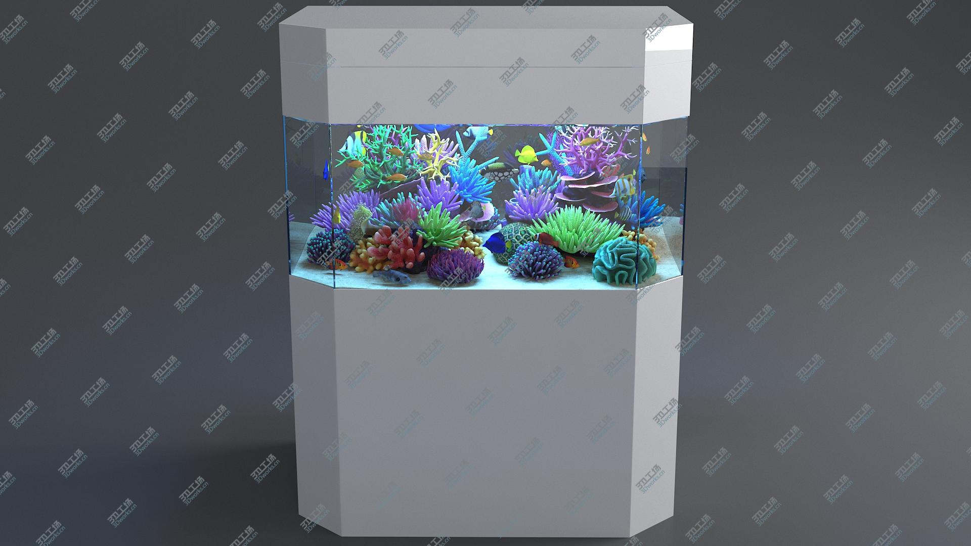 images/goods_img/202104093/3D Aquarium 04 model/3.jpg